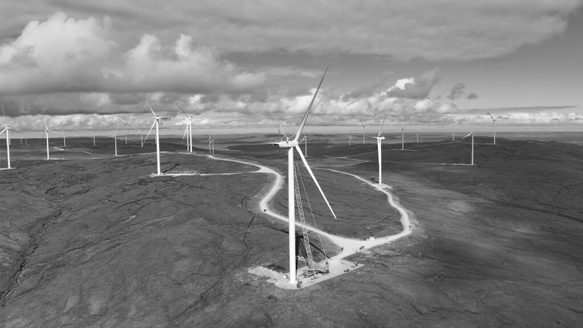 Tony Gee Joins Scottish Renewables, Strengthening Commitment to Net Zero